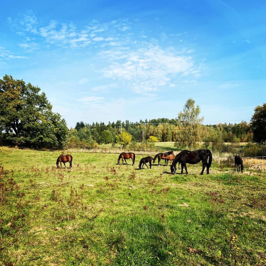Koziula - Domki I Lesne Spa Na Kaszubach Przywidz (Gdansk) Exterior foto